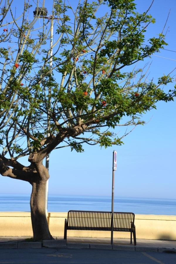 I Tesori Del Mare Acomodação com café da manhã Letoianni Exterior foto